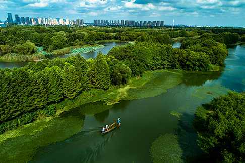 78d25160cb26bfaec78a2b615822494e