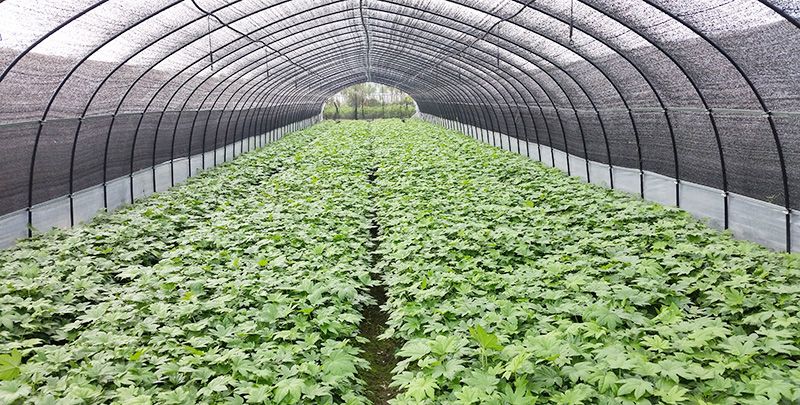 upay钱包 -轻松支付,安心选择