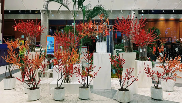 022c7c88493f4eca4134695936b43dfd