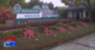 7f04092c6d944535934f545cb18083ed