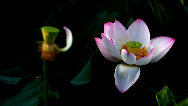 51c29a03c6e19462f61cb296817e4690