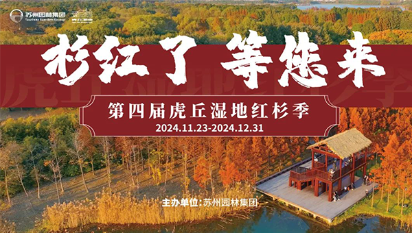 ccae12bc63deb65d32f8dbbb10671d19